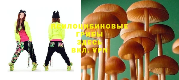 метадон Беломорск